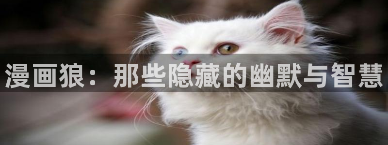 哔咔漫画官网最新版本