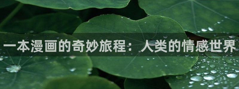 哔咔漫画专用梯子