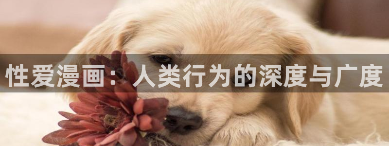 哔咔漫画下载