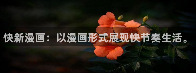 哔咔漫画注册