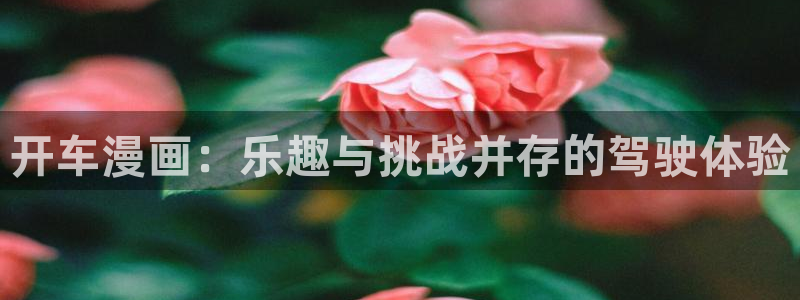 哔咔漫画3.0app下载