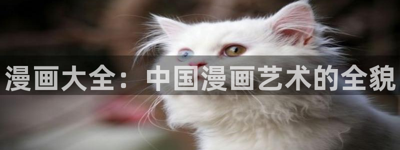 和哔咔漫画一样的软件