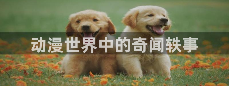哔咔漫画官网页版入口