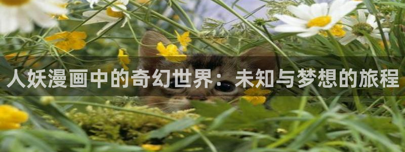 和哔咔漫画一样的软件